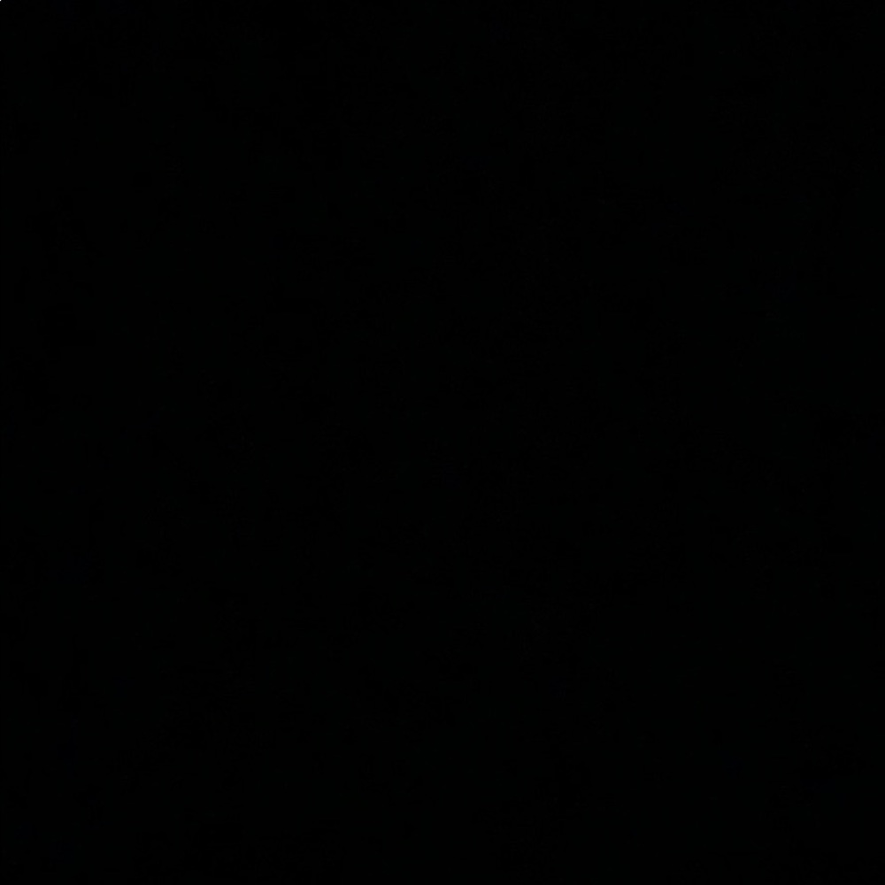 Meet your Posher, Joy